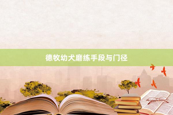 德牧幼犬磨练手段与门径