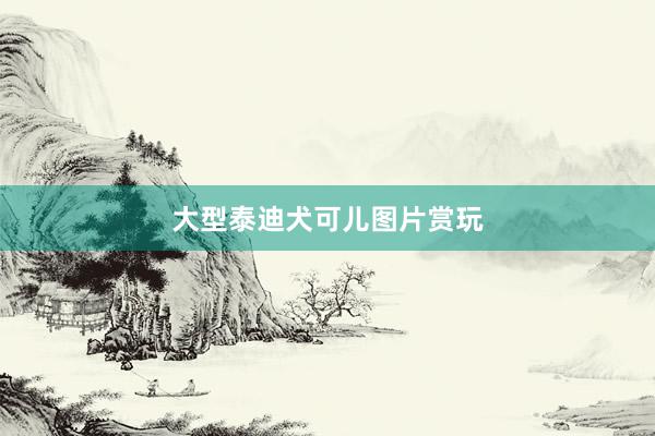 大型泰迪犬可儿图片赏玩