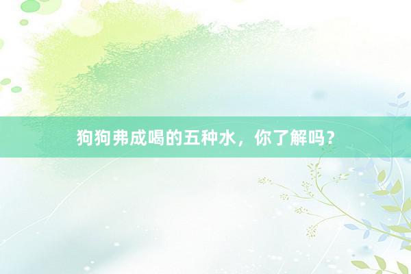 狗狗弗成喝的五种水，你了解吗？