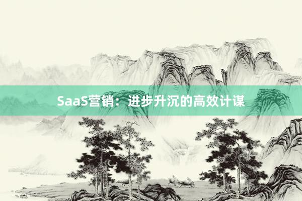 SaaS营销：进步升沉的高效计谋